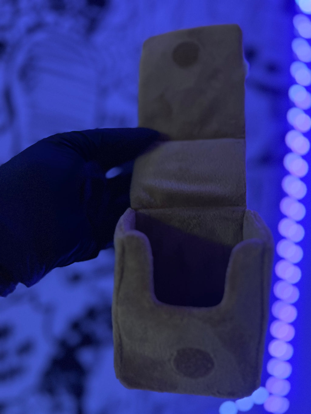 Pokémon Porta Mazzo Eevee Peluche